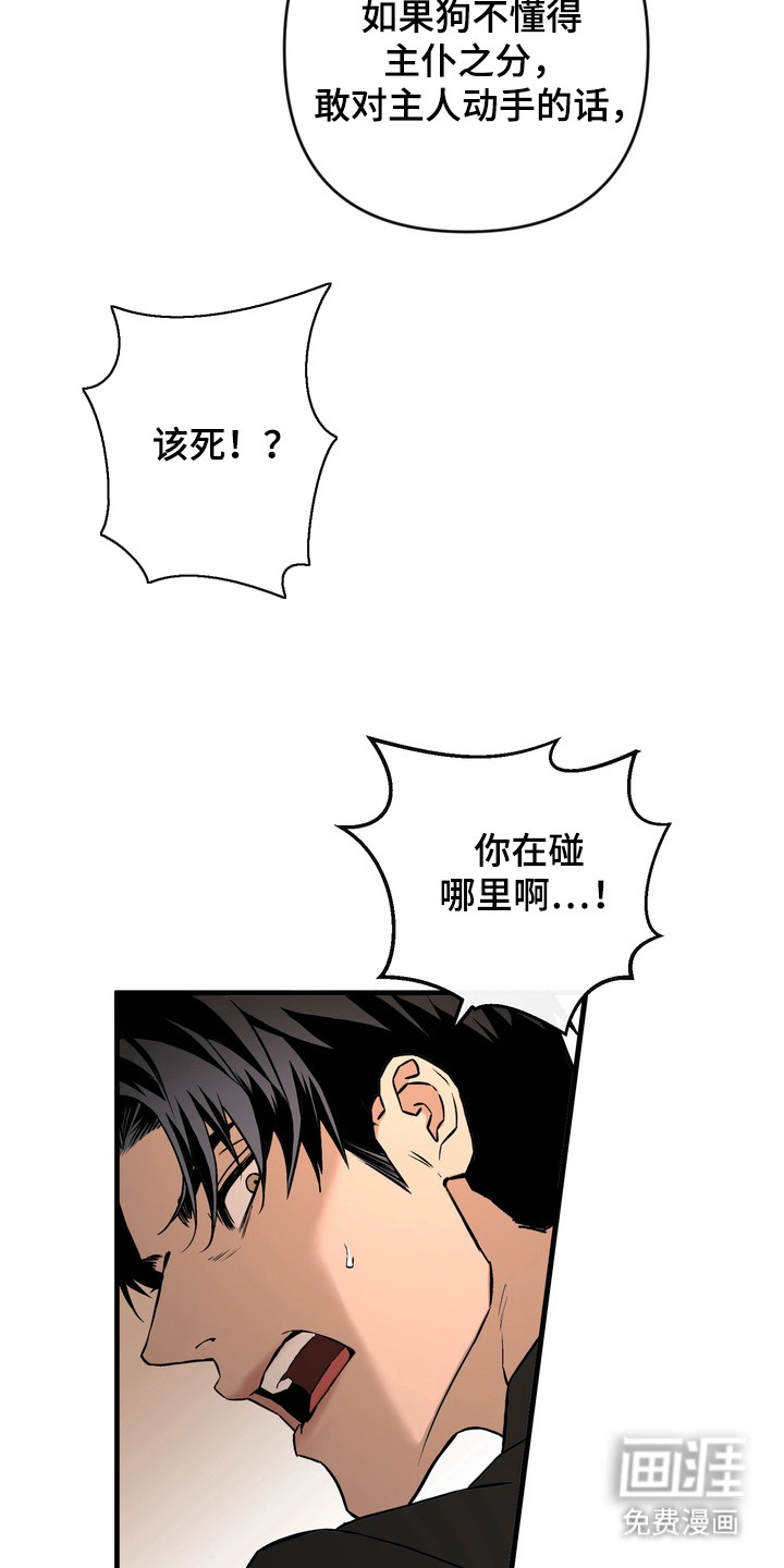 第7话12