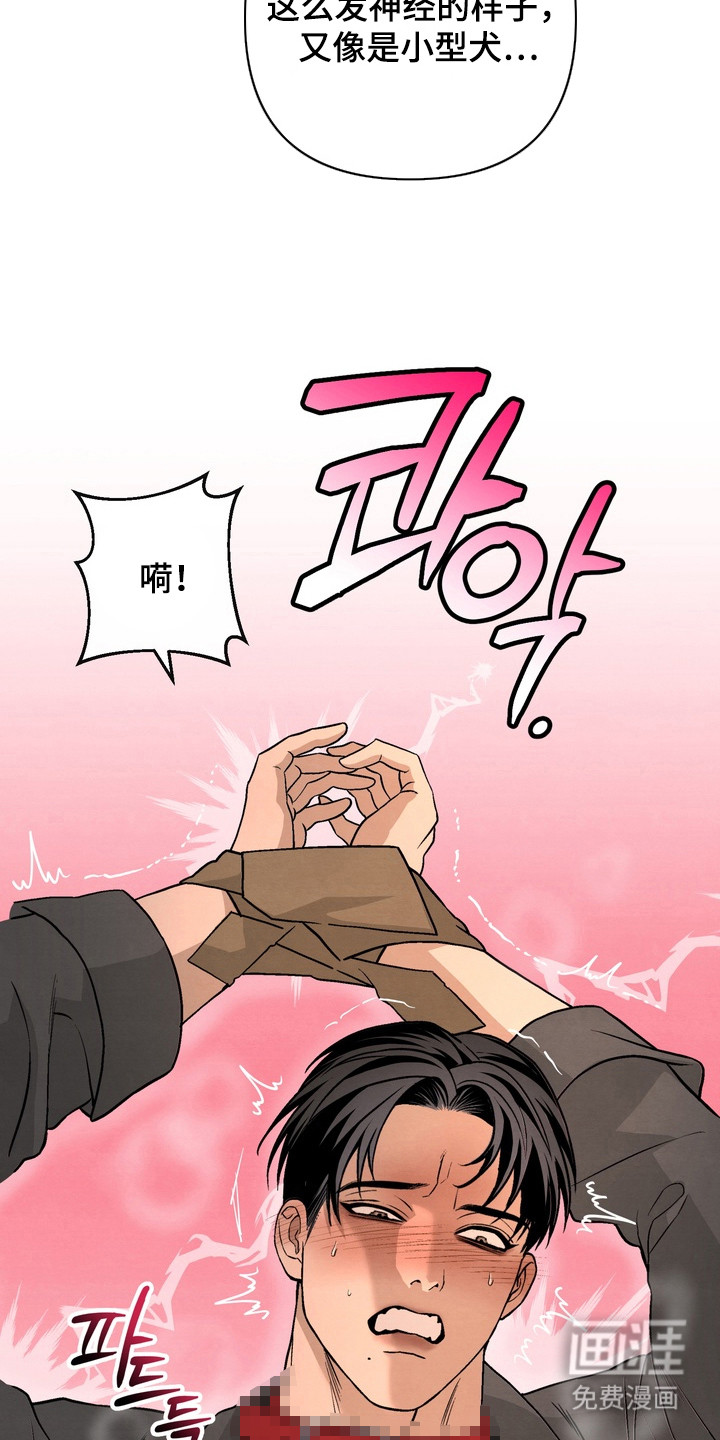 第8话15