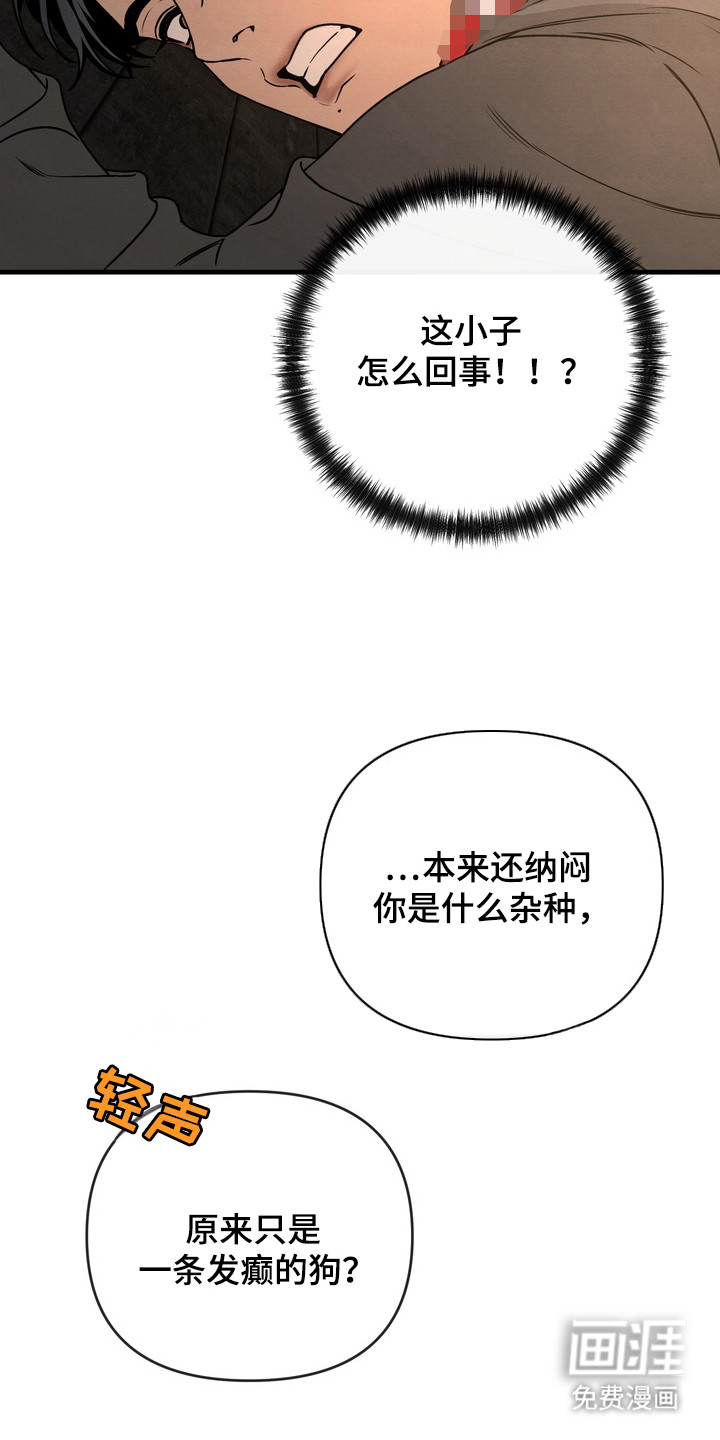 第9话5