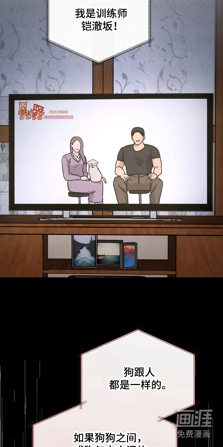 第11话8