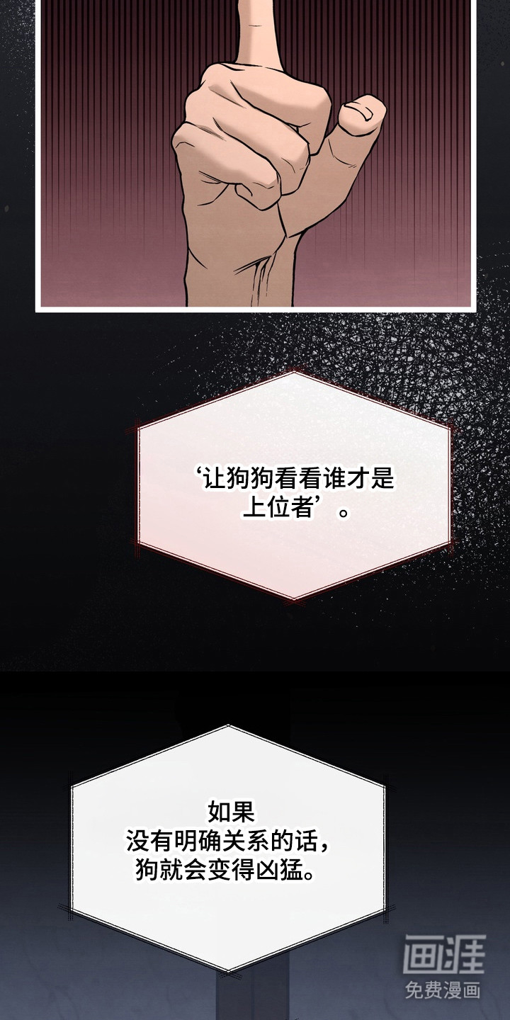 第11话11