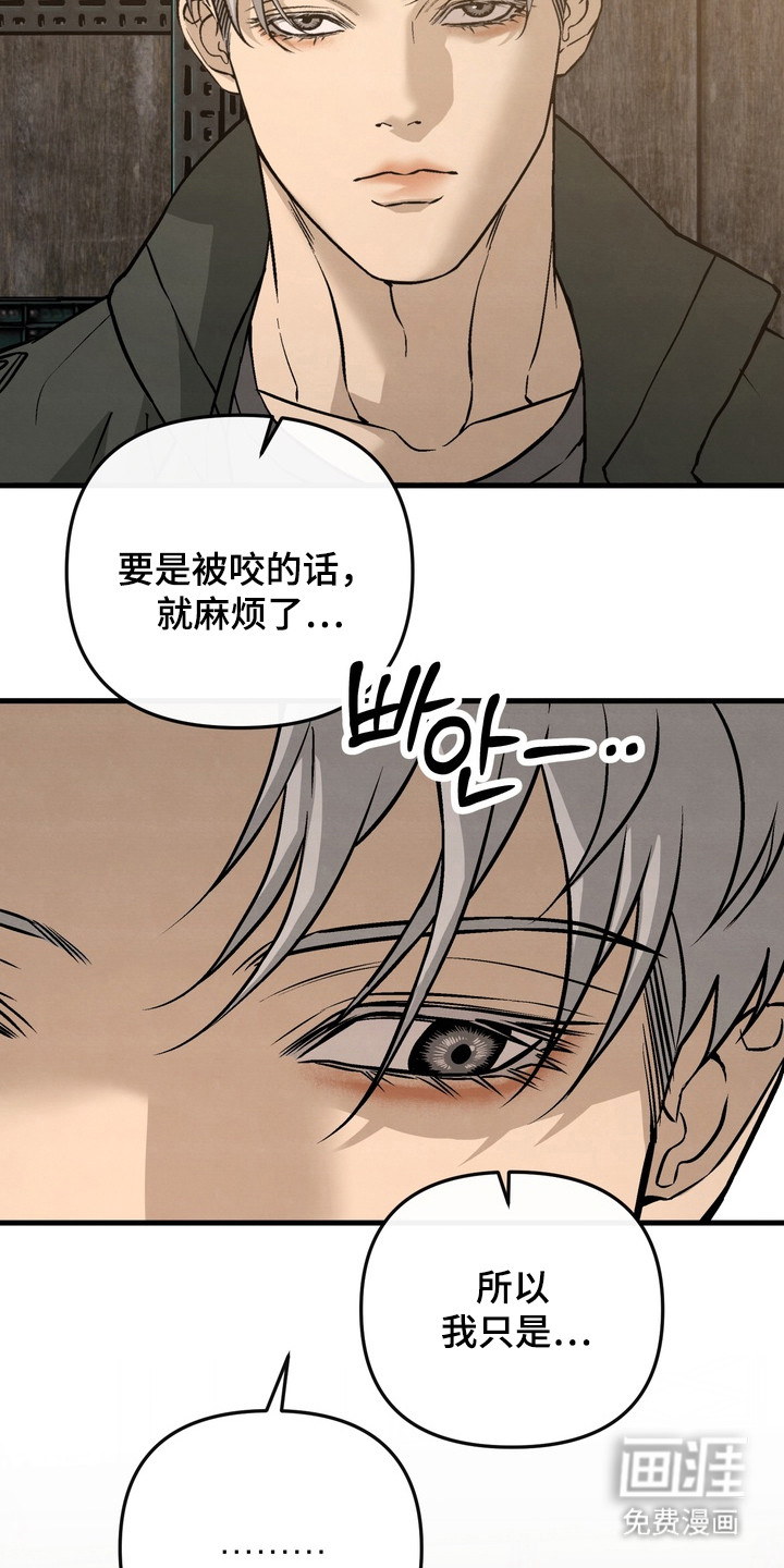 第12话17