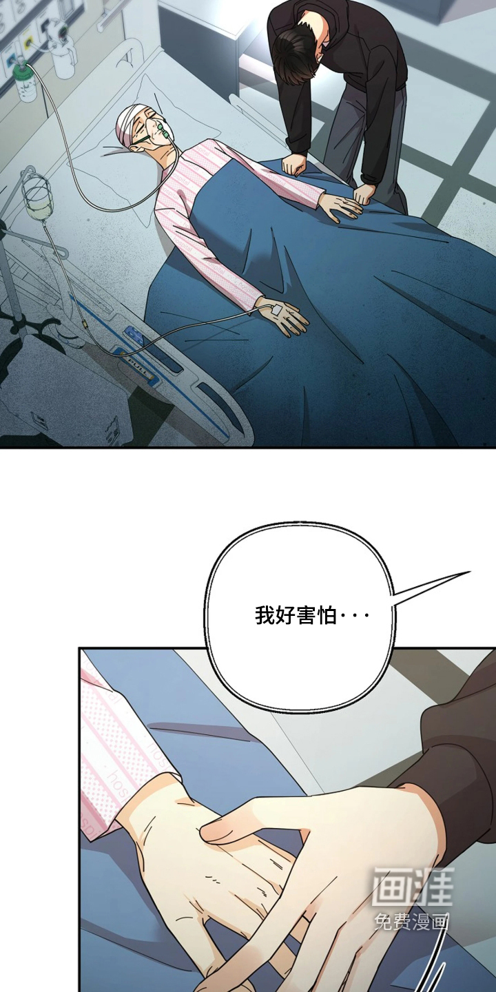 第120话11
