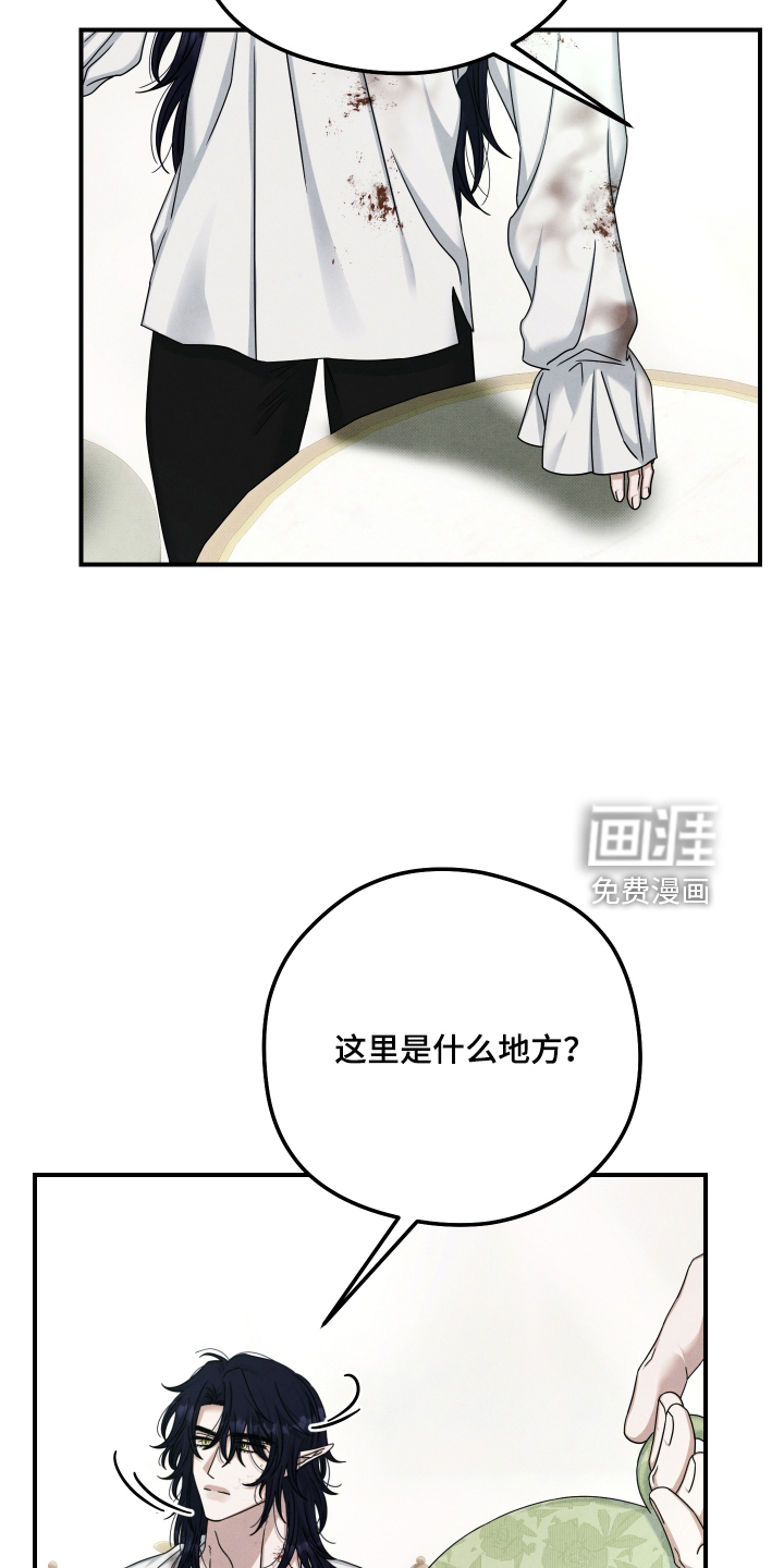 第84话11