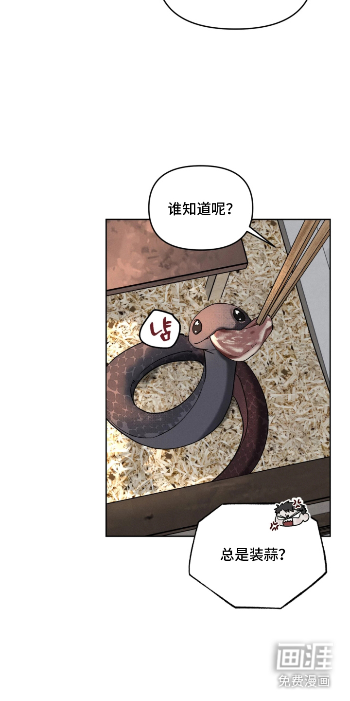 第4话5