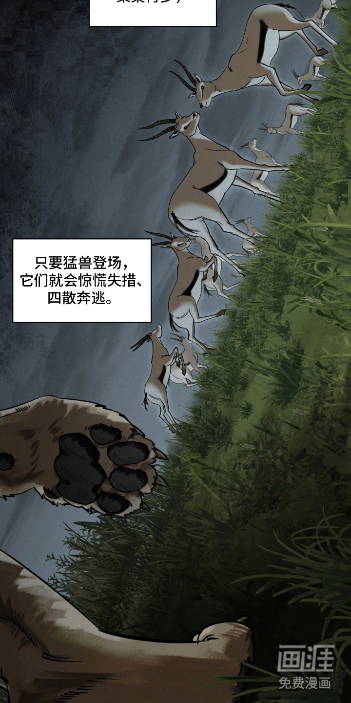 第8话9