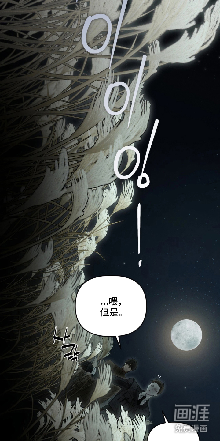 第15话16