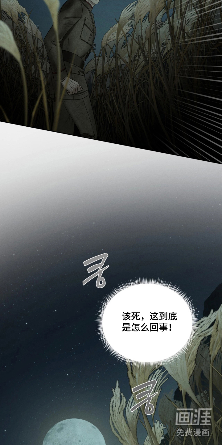 第19话12