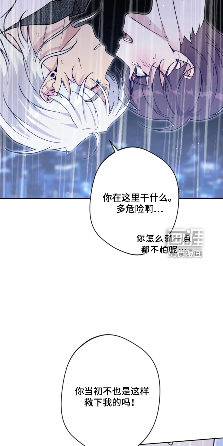第110话29