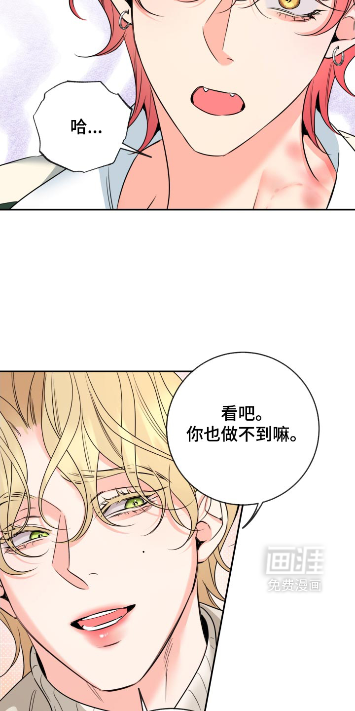 第120话21