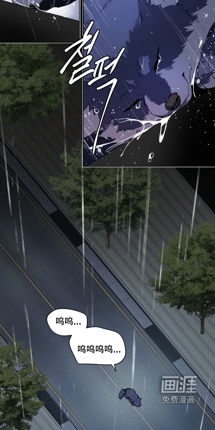 第13话1
