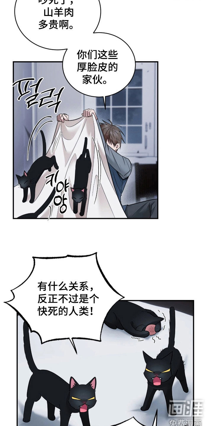 第49话4