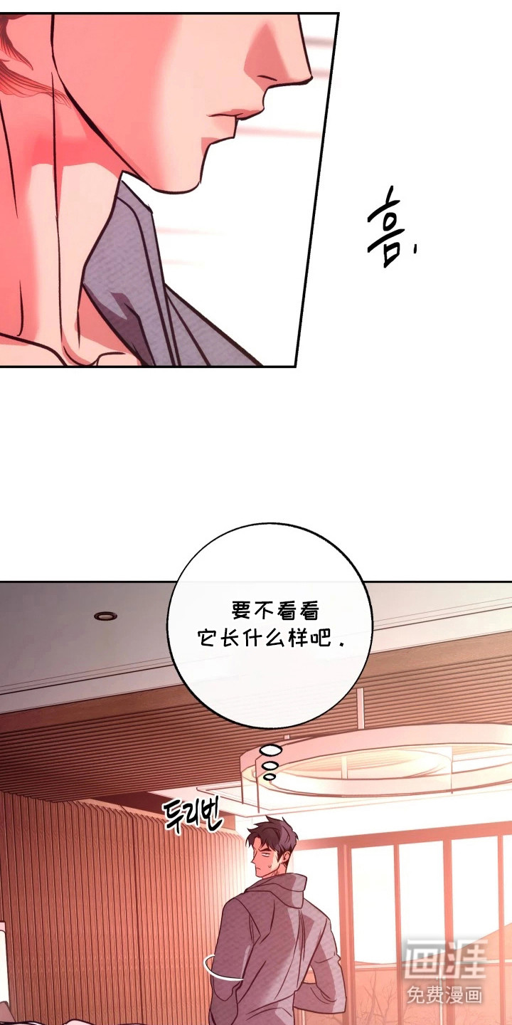 第7话12