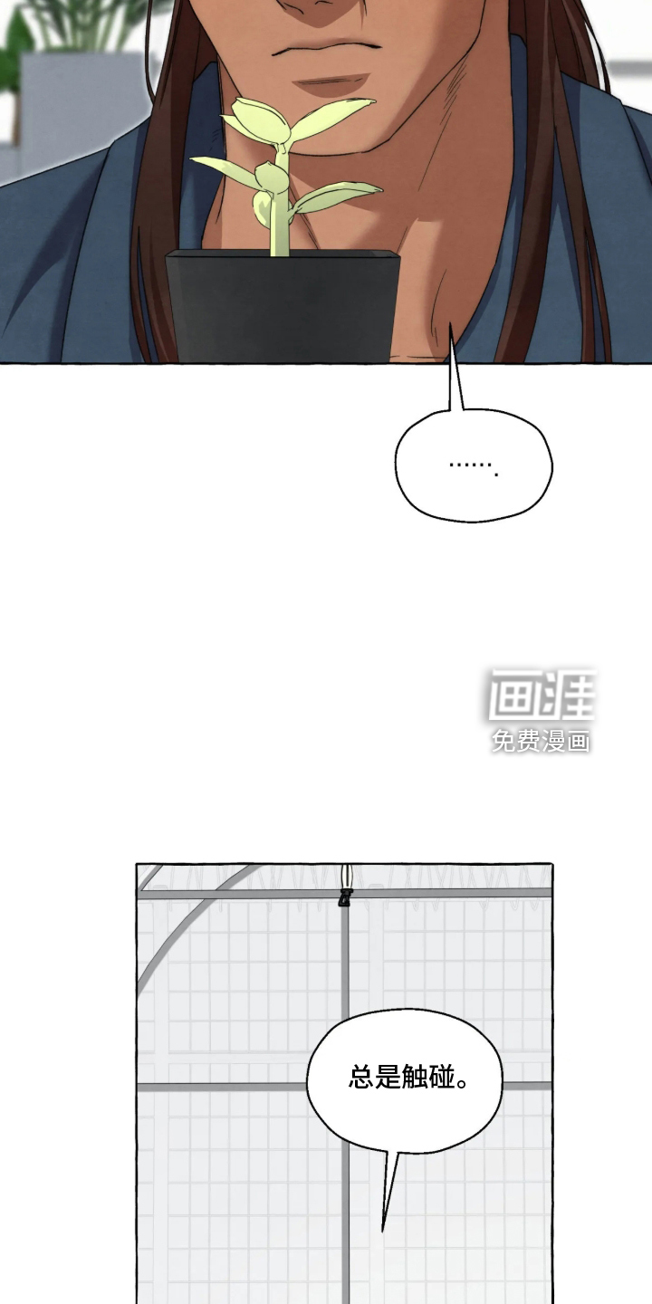 第185话11