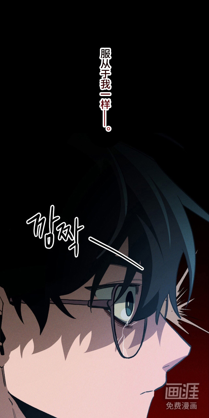 第117话11