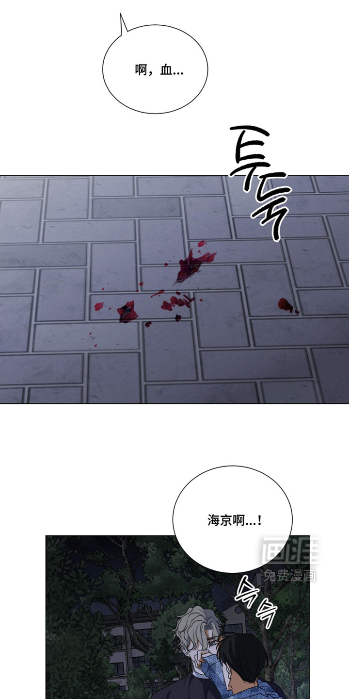 第29话19