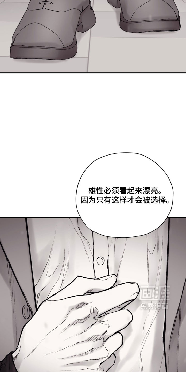 第42话13