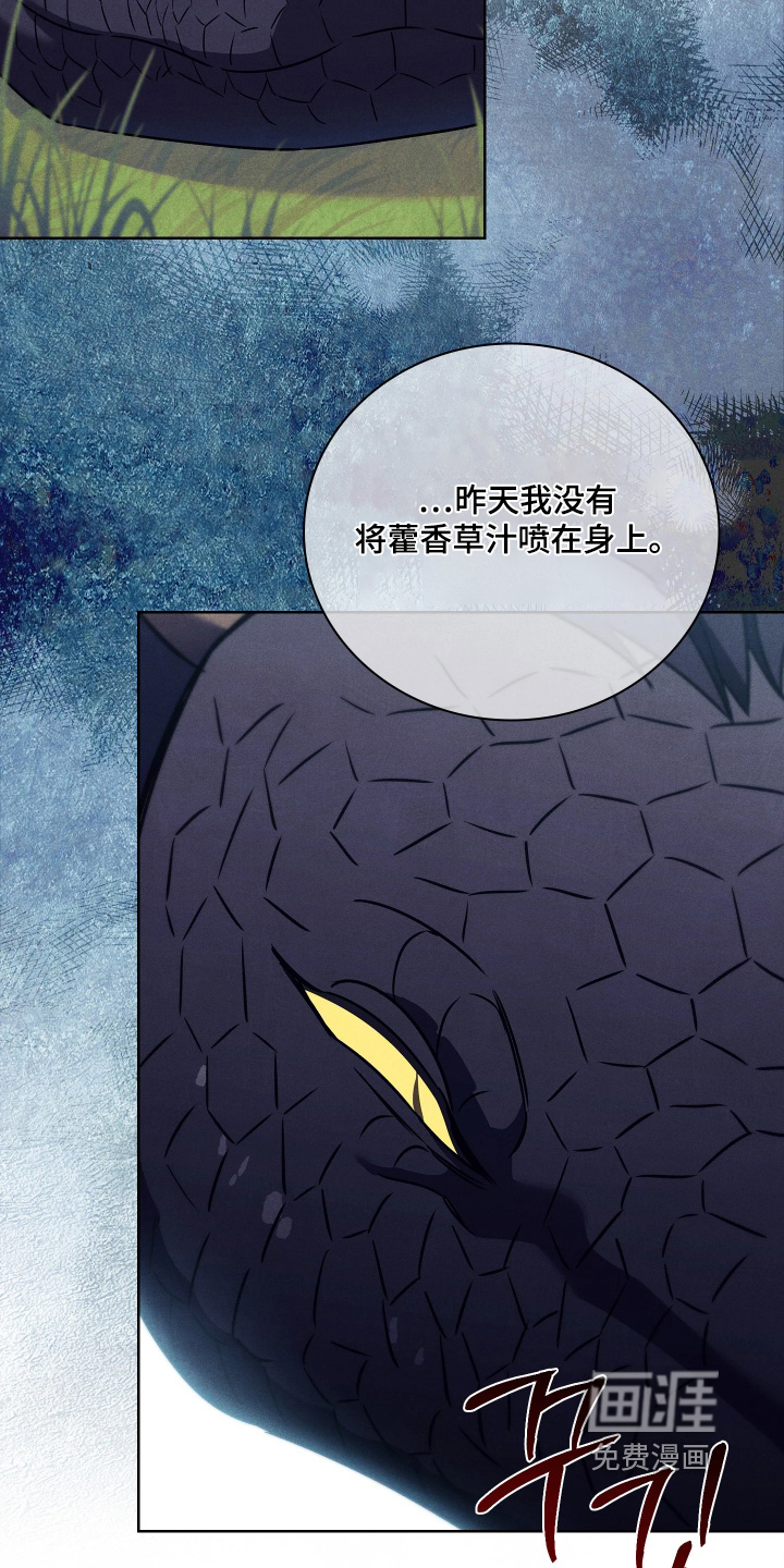 第25话25