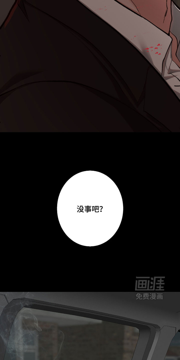 第117话11