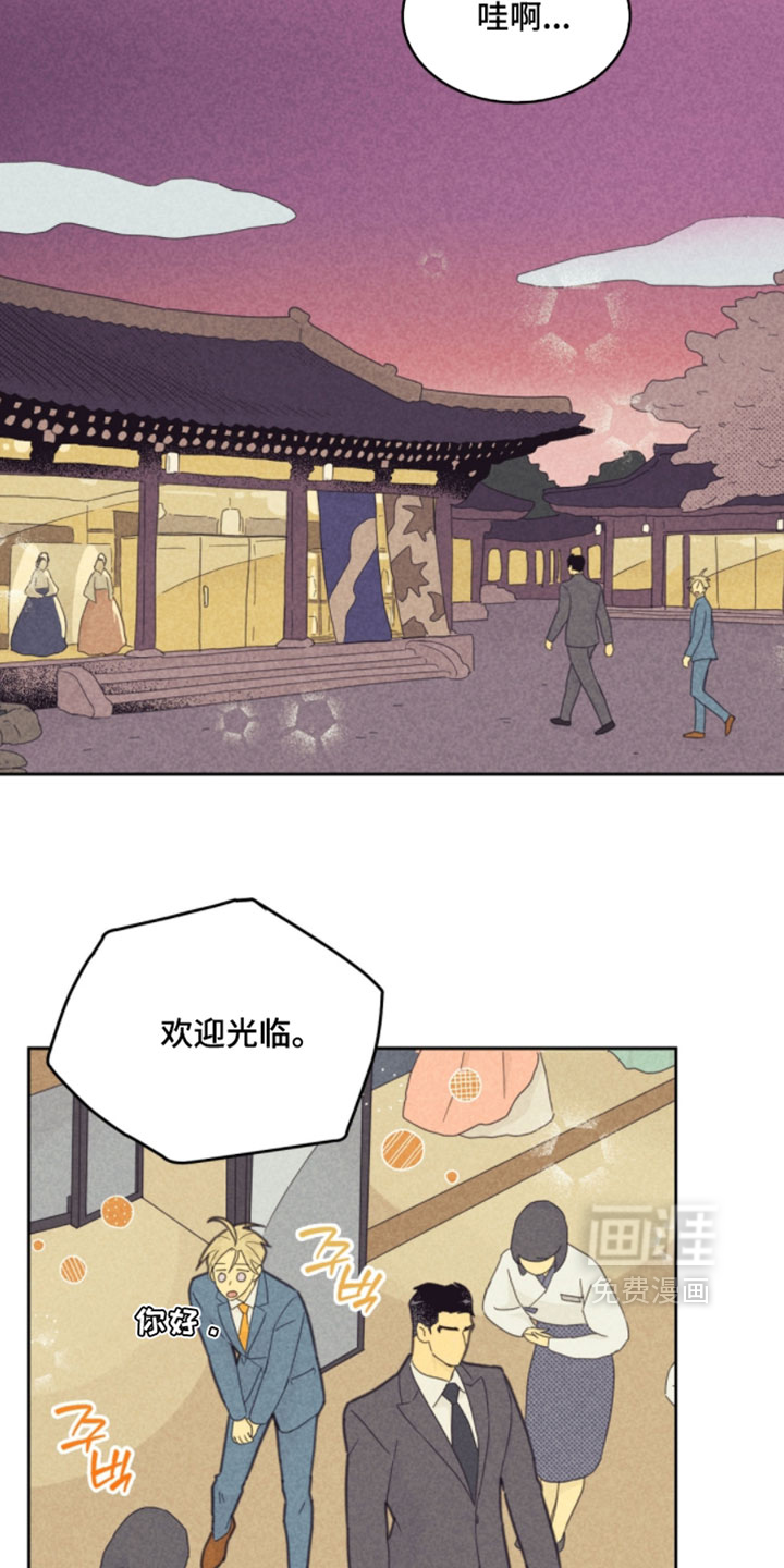 第246话17