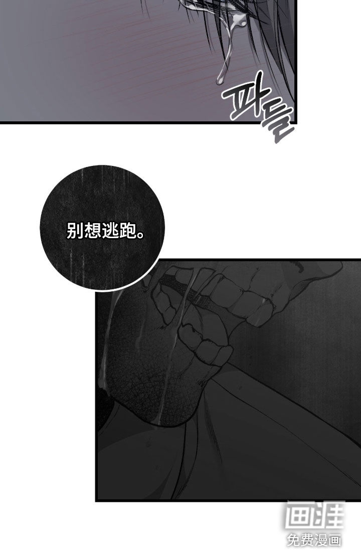 第100话25