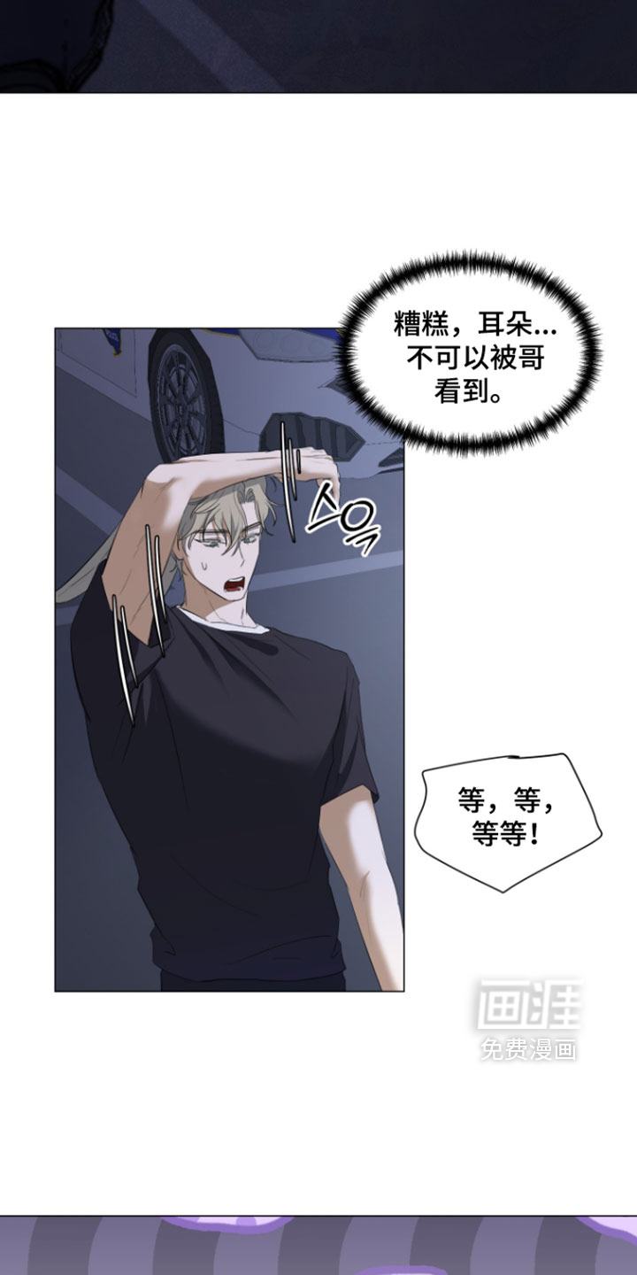 第31话11