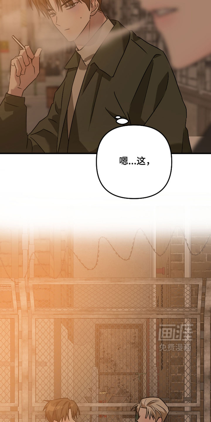 第54话33