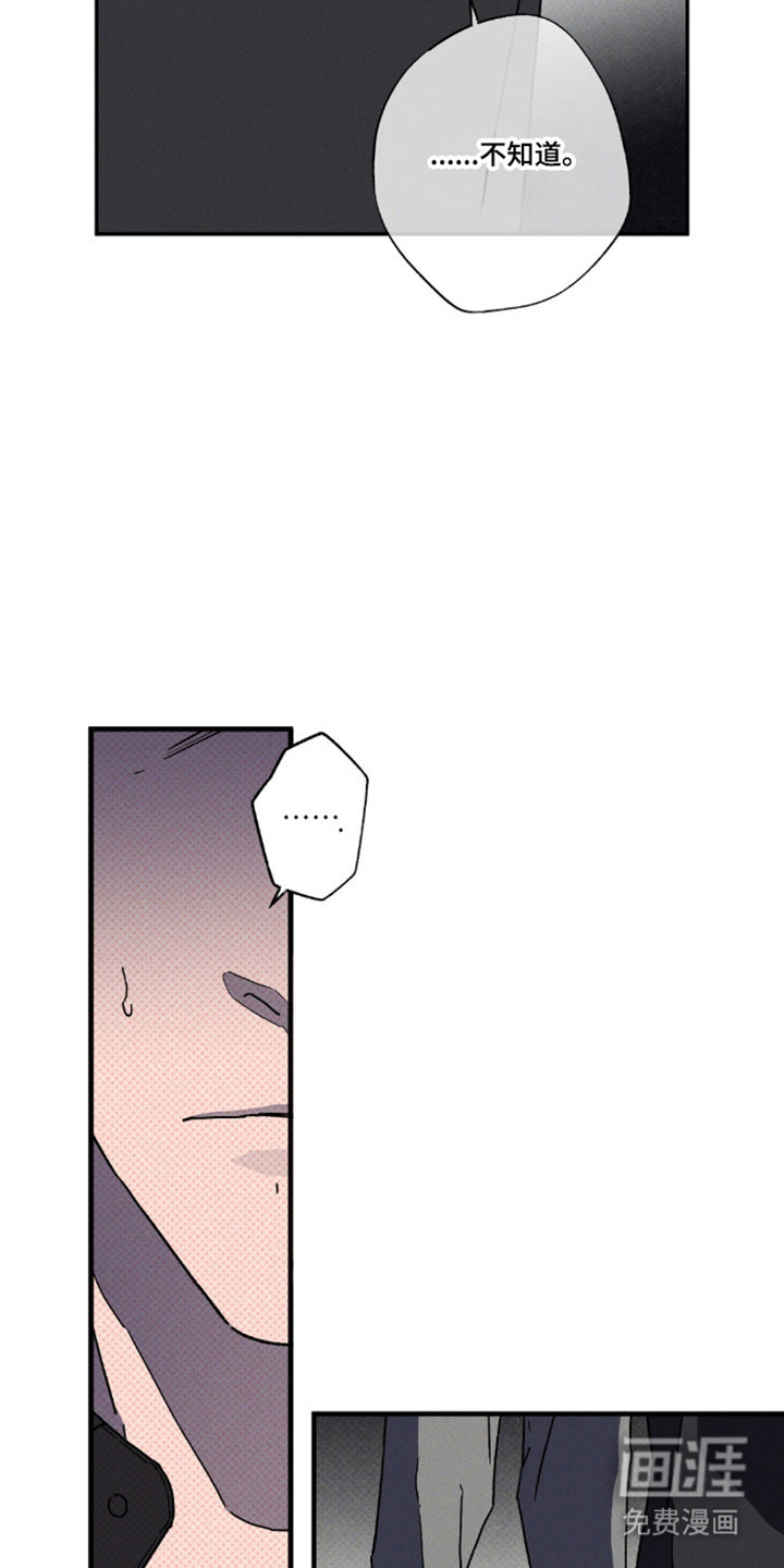 第164话6