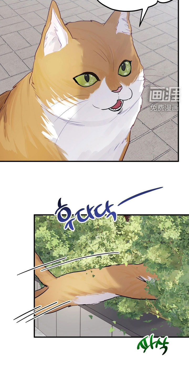 第37话5