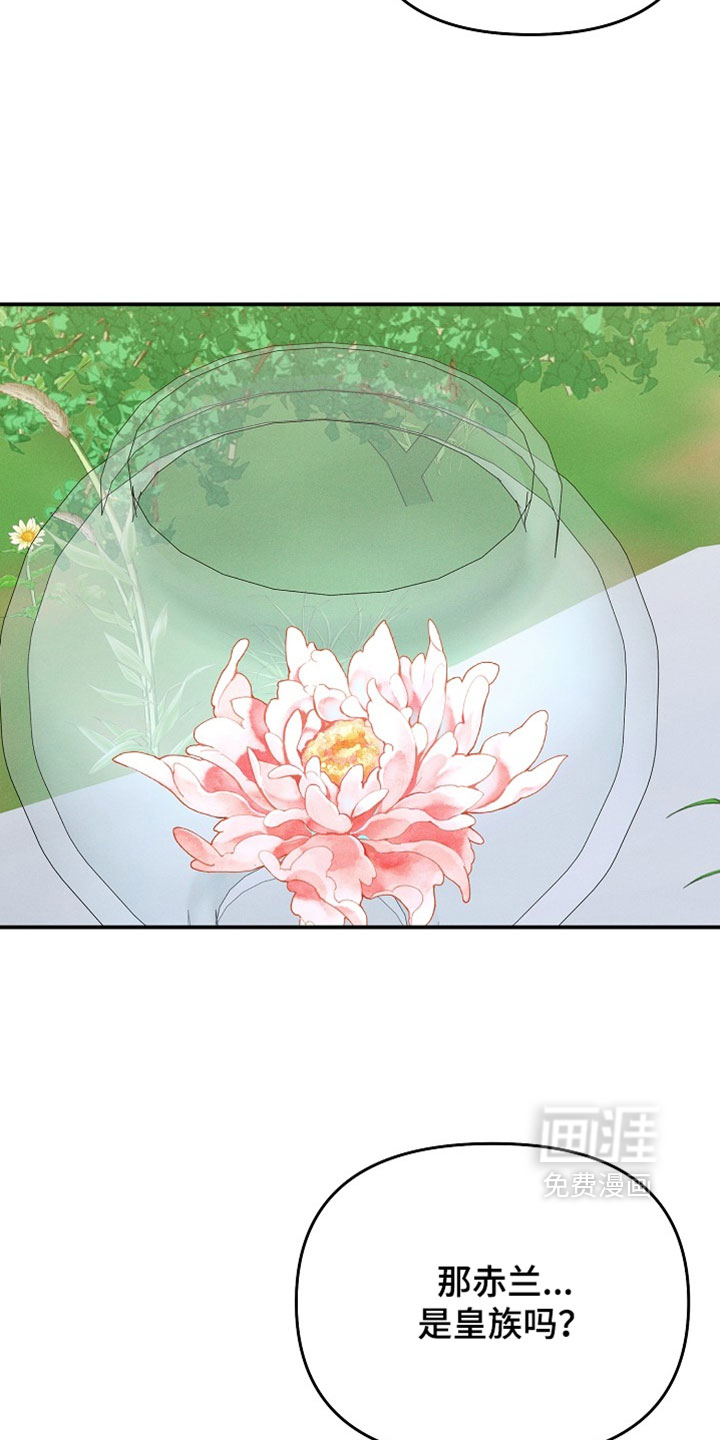 第131话15