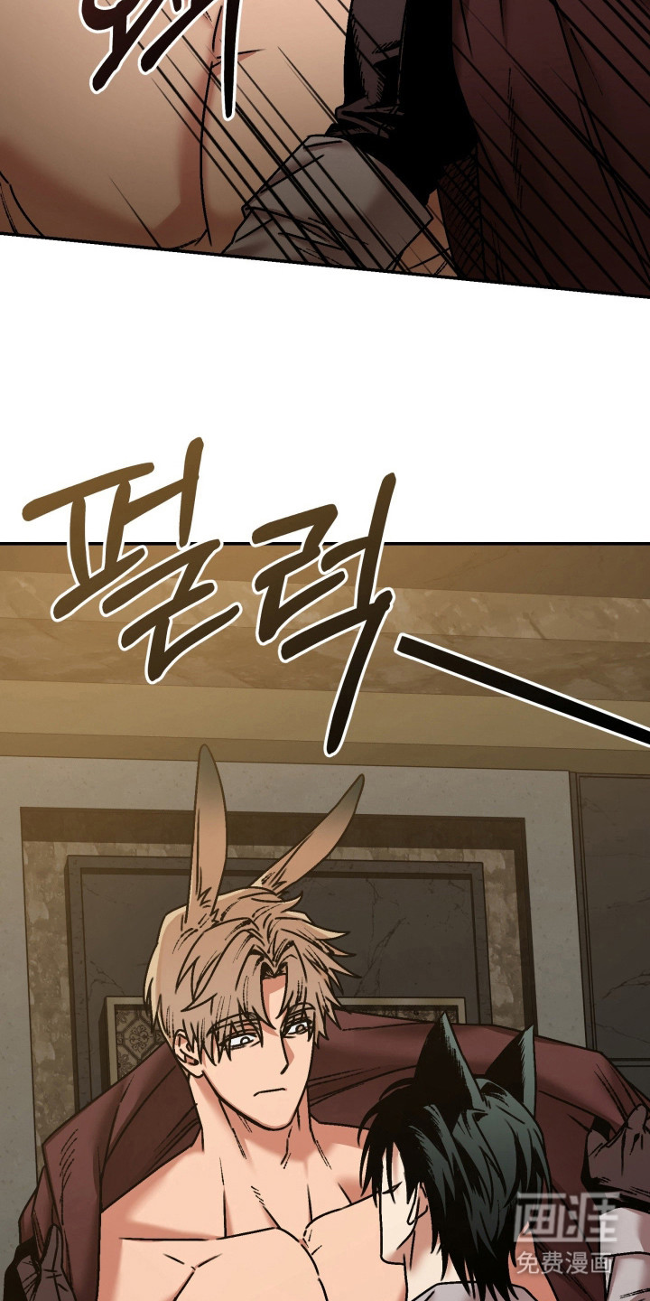 第11话5