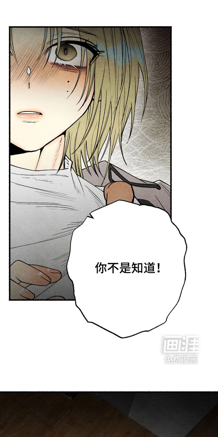 第55话5