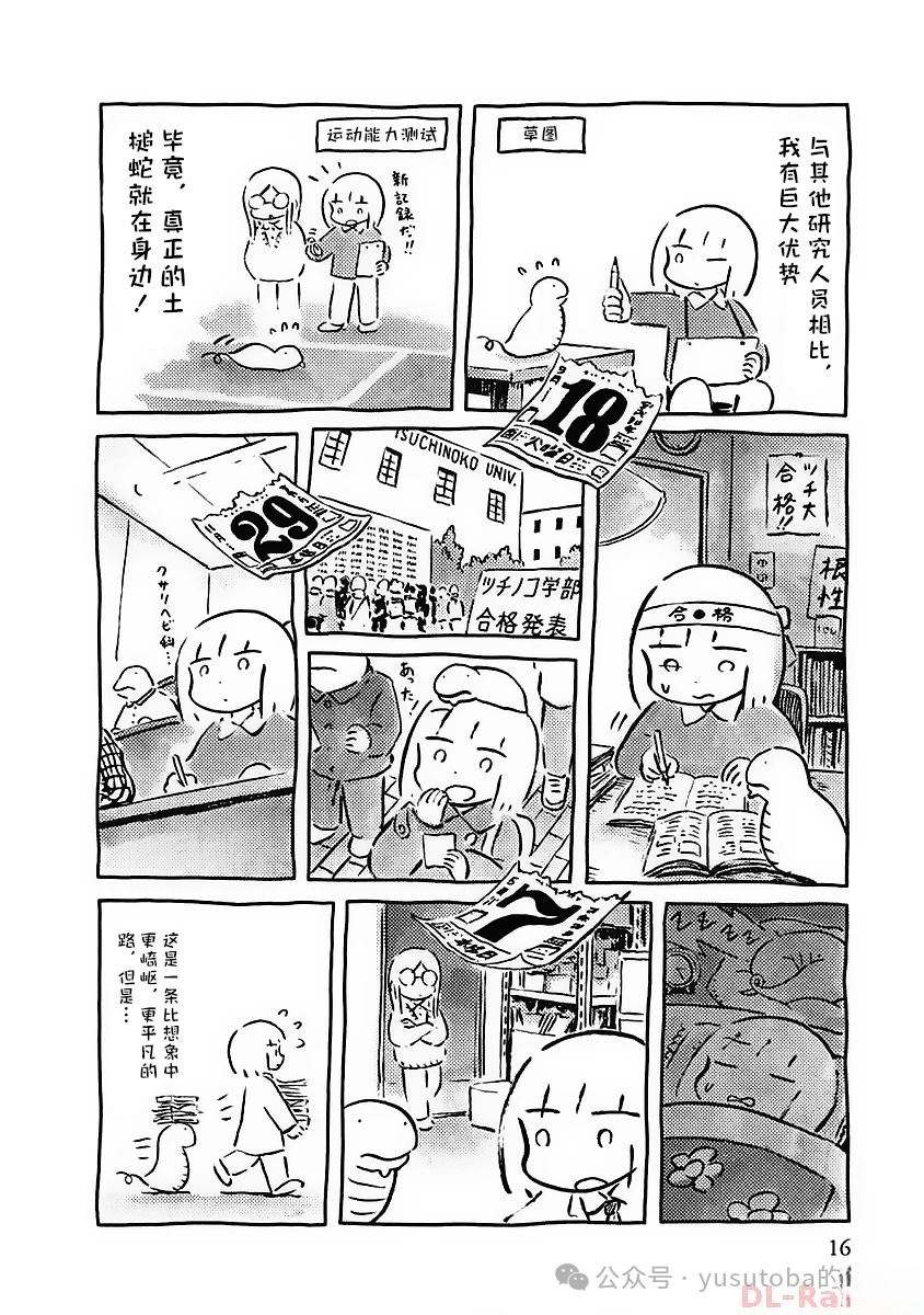 发现土槌蛇11