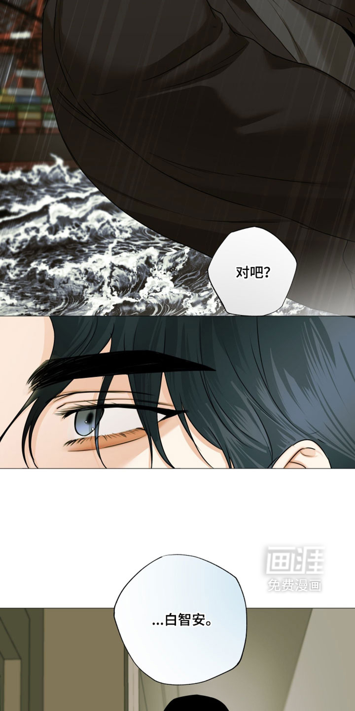 第147话12