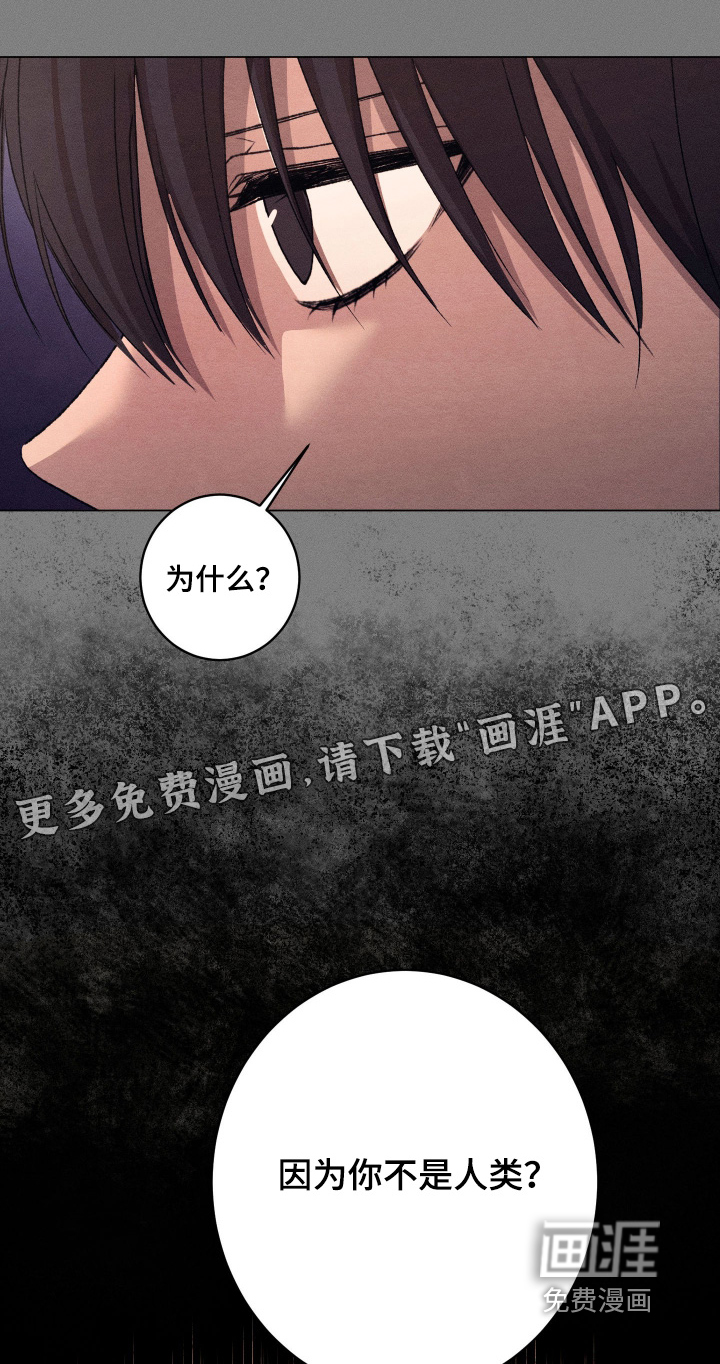第26话0