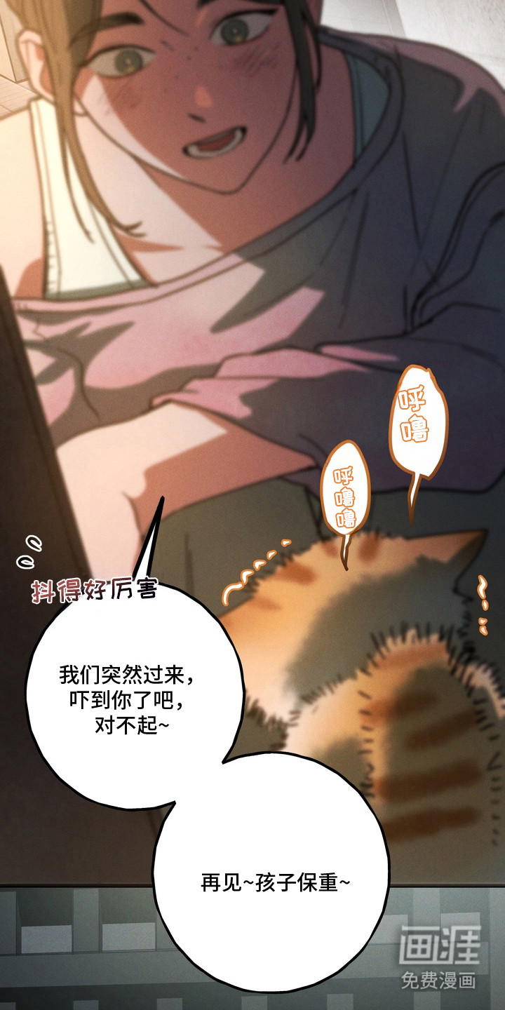 第11话21
