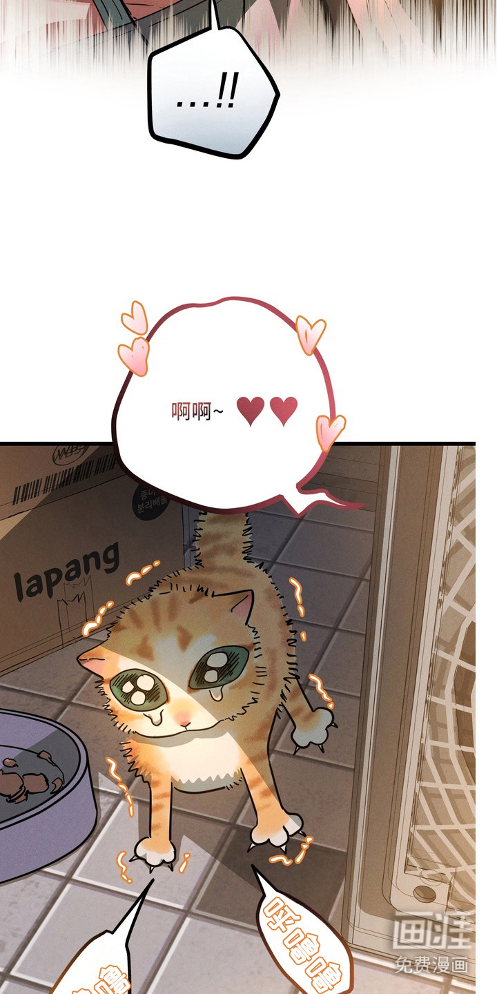 第11话18