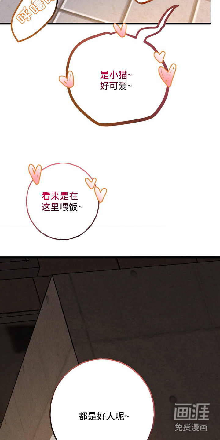 第11话19