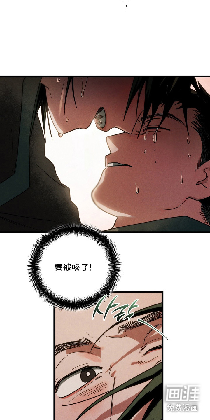 第11话8