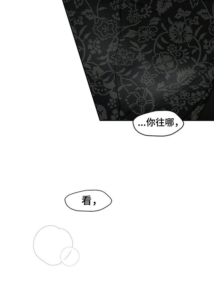 第241话11