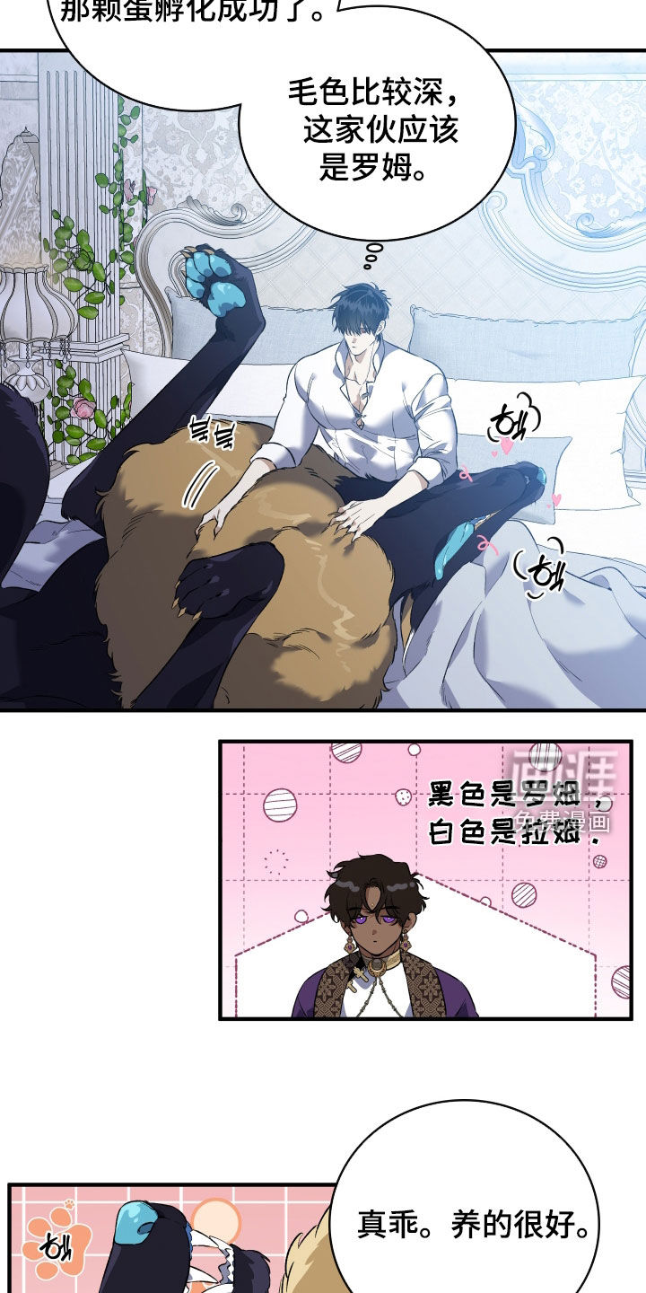 第41话14