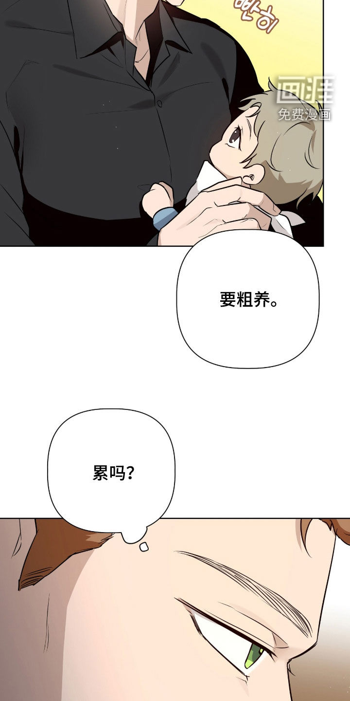 第90话11
