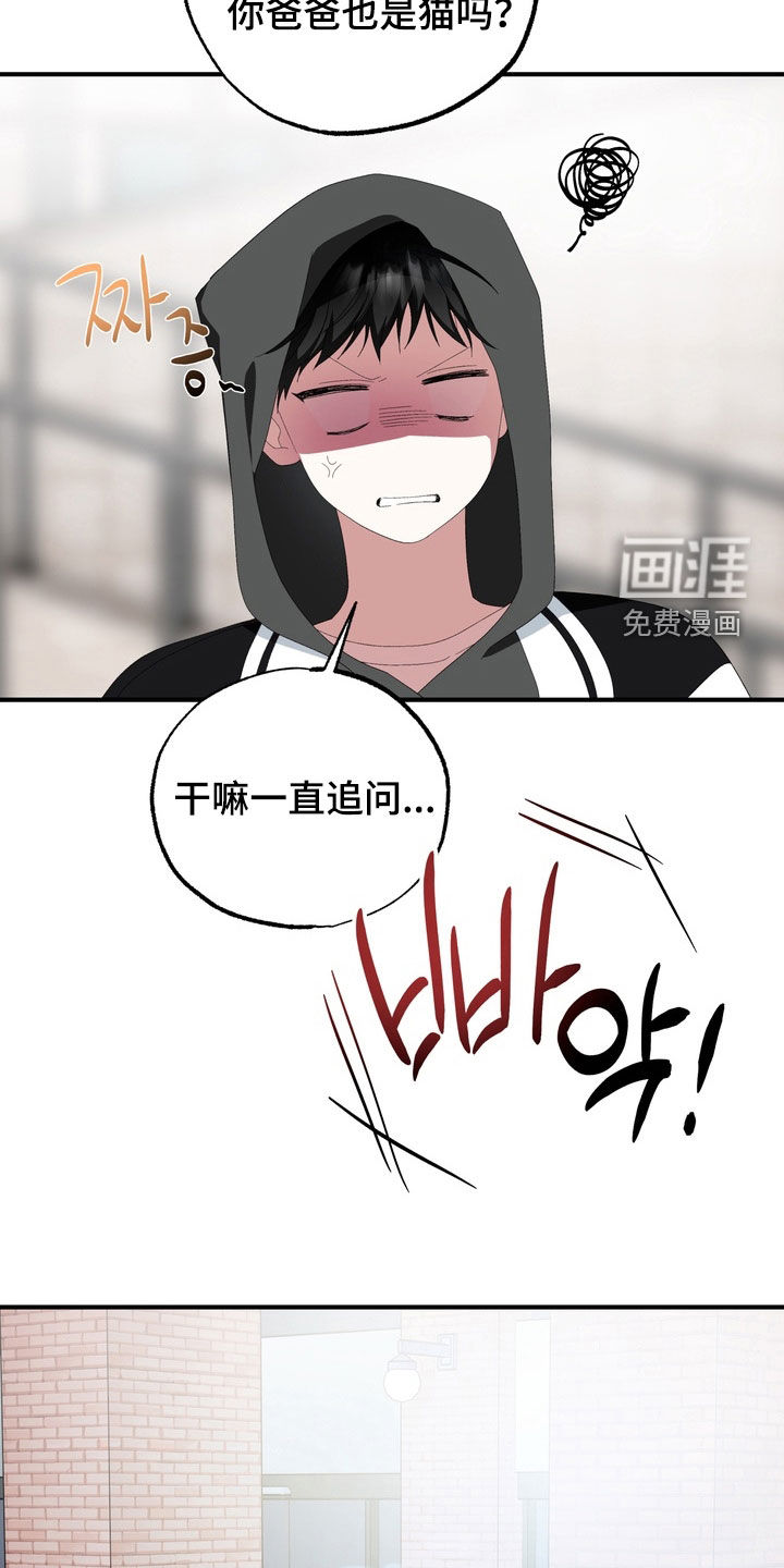 第43话1