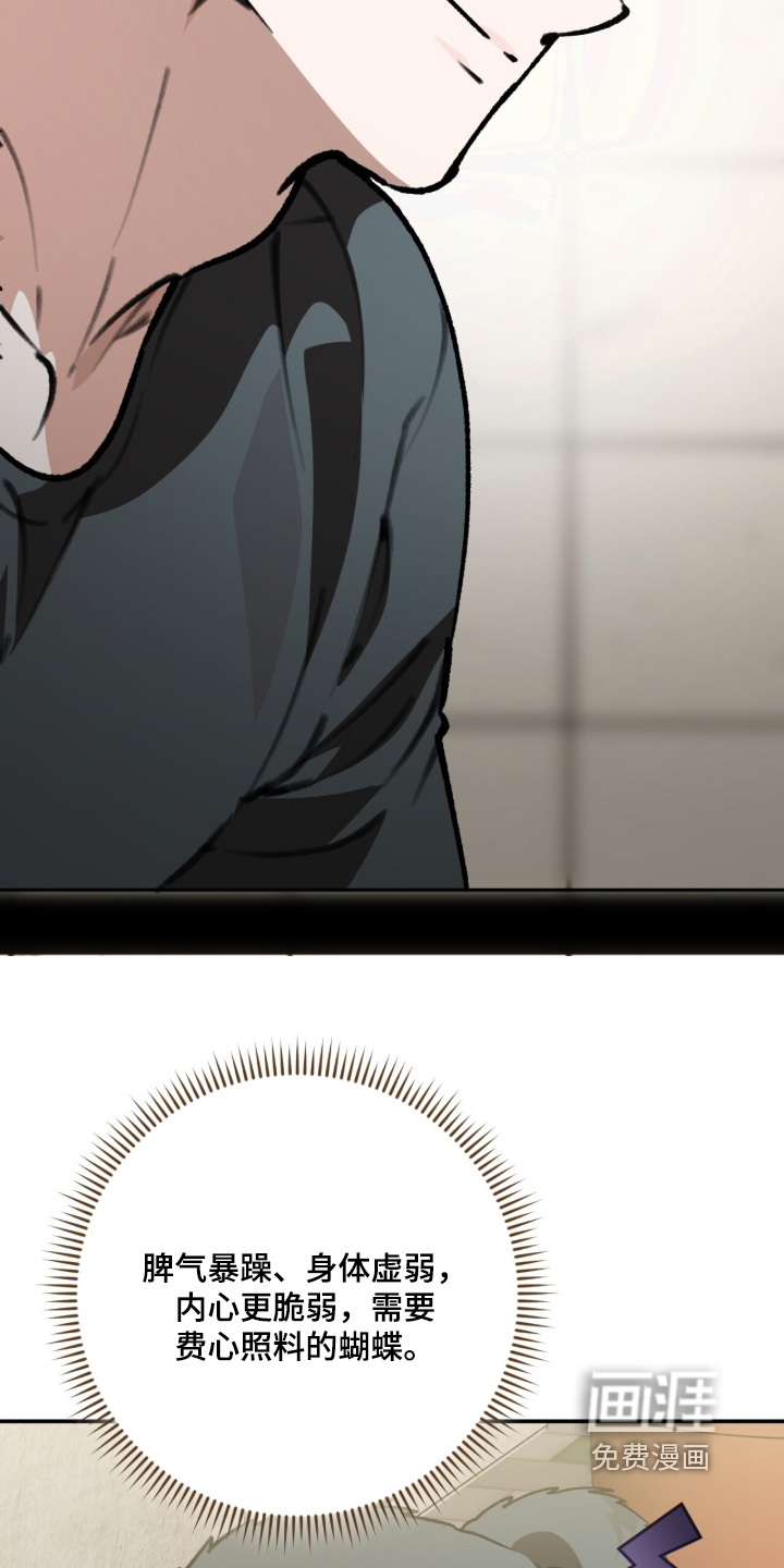 第46话13