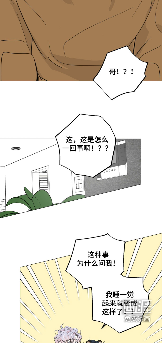 第28话6