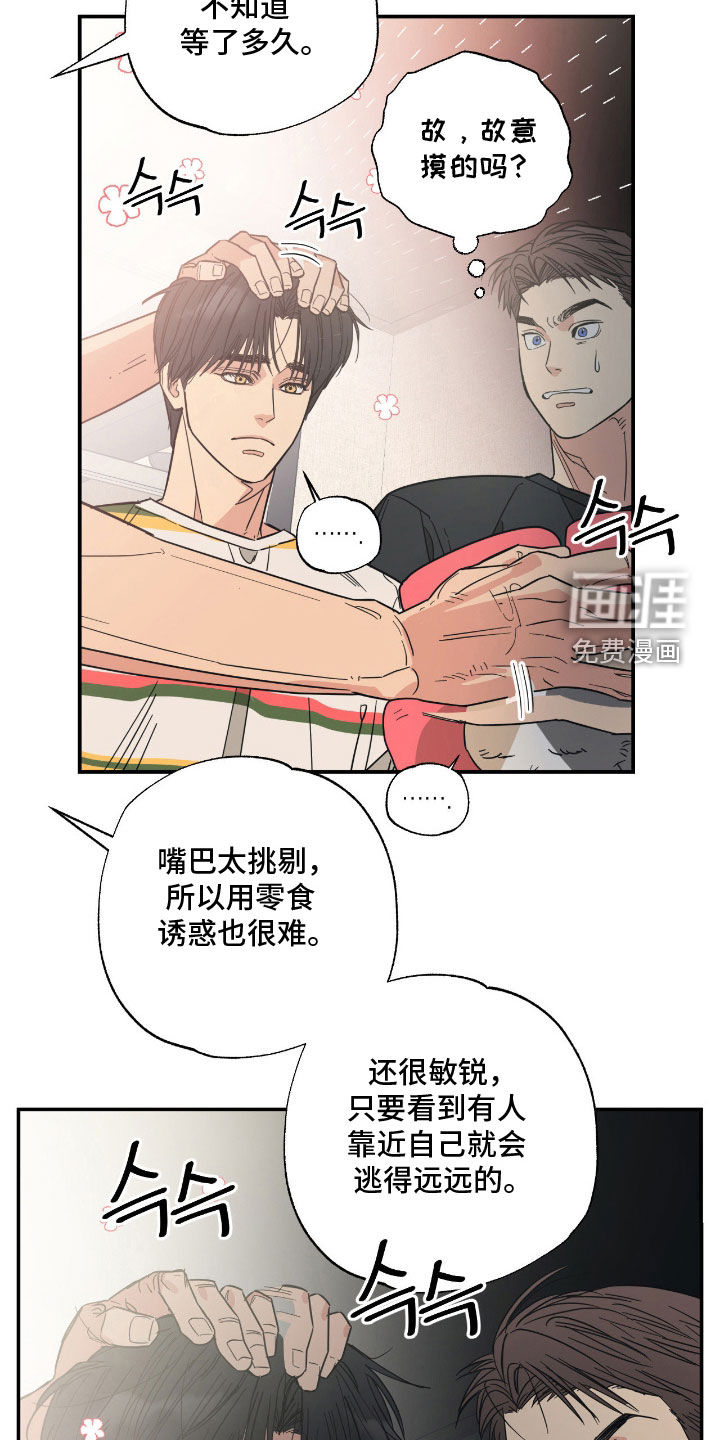 第19话7
