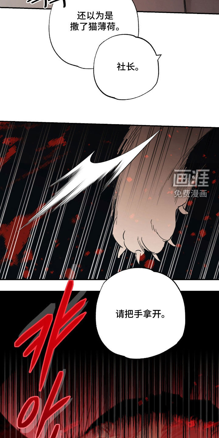 第19话9