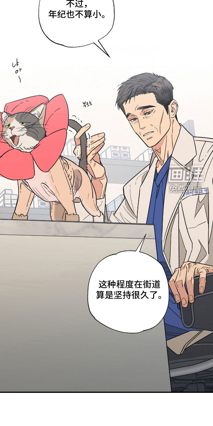 第19话1