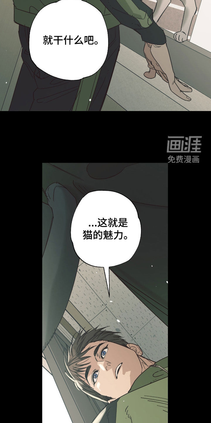 第17话18