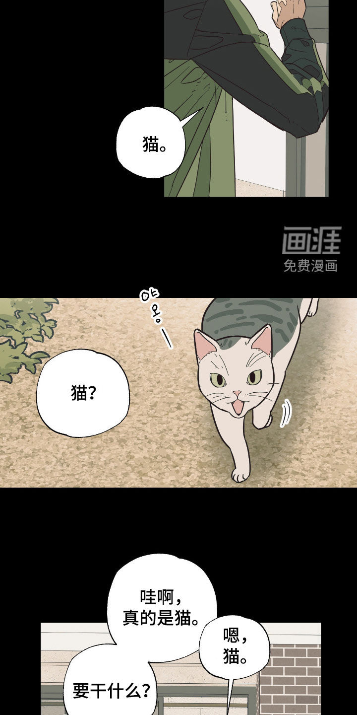 第17话13